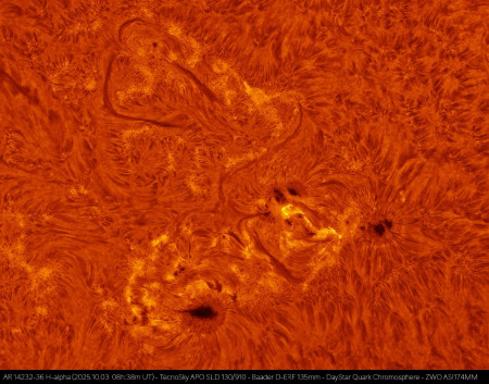 AR14232-36_HA_20251003_0838