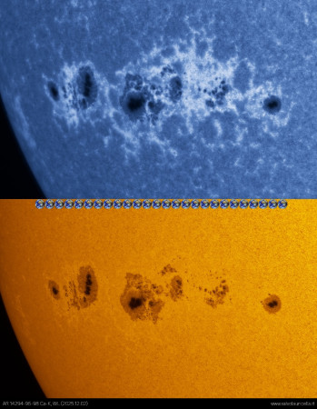 AR14294-96-98_CAK_WL20251202