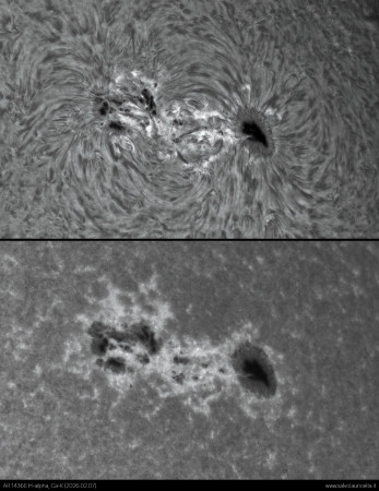 AR14366_HA_CaK_20260207