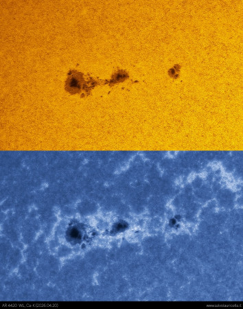 AR4420_WLCAK_20260424