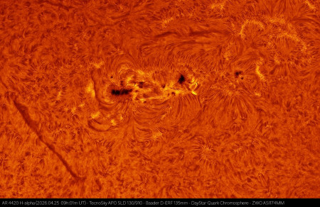 AR4420_HA_20260425_0901