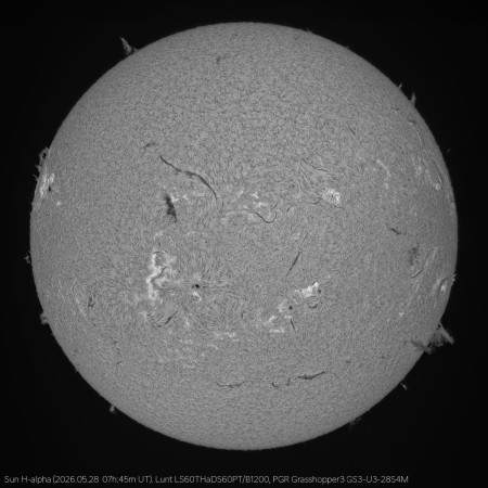Sun_HA_20260528_0745-BW