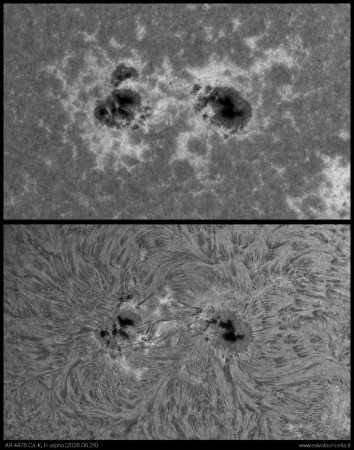 AR4478_CAK_HA_20260629