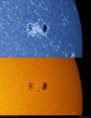 /album/sole-a-varie-lunghezze-donda/ar14167-cak-wl-20250803-jpg/