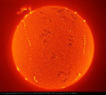 /album/sole-in-h-alfa/sun-ha-20250820-0817-merge-jpg/
