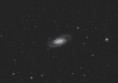 /album/galassie/ngc2903-20200320-clone-jpg/