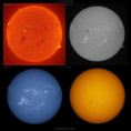 /album/sole-a-varie-lunghezze-donda/sun-ha-cak-wl-20260528-jpg/