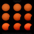 /album/eclissi-parziale-di-sole-12-agosto-2026/collage-eclissi-parziale-di-sole-20260812-jpg/